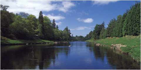 Scotland's Finest Salmon Fishing