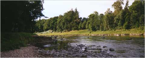 The River Dee